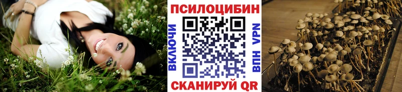 OMG рабочий сайт  Киров  Псилоцибиновые грибы Psilocybine cubensis 