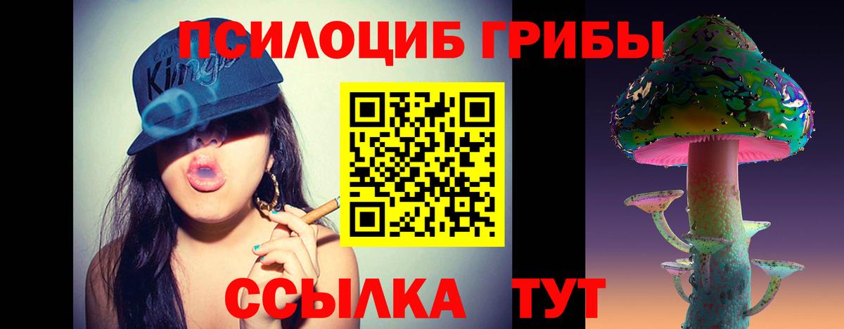 Псилоцибиновые грибы Magic Shrooms  что такое   Киров  Вход с VPN 